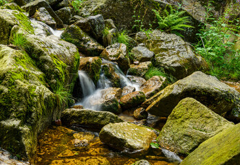 Naklejka na ściany i meble small waterfall on mountain creek over boulders with moss and grass