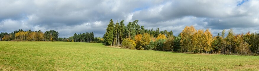 Fototapeta na wymiar meadow on the slope with forest in autumn colors