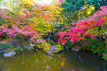 Japanese garden in Hiratsuka, Kanagawa, Japan