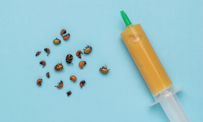 Colorado beetles and a syringe with insect repellents on a blue background. Minimal concept of pest...
