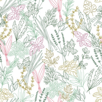 Seamless patterns of spicy herbs line Oregano, Fenugreek, Rosemary, Mint, Arugula, Thyme, Parsley, Lavender, Tarragon, Basil, Dill, Scallion, Cheremsha, Cilantro, Sage, Lovage.