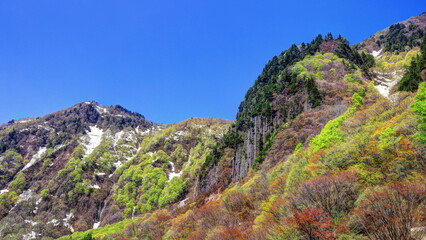 雪の残る新緑の布岩