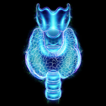 Thyroid gland, ultrasound hologram isolated on black background. Ultrasound diagnostics, thyroid diseases. 3D render, 3D illustration.