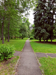 Path in a city park in summer, landscape.