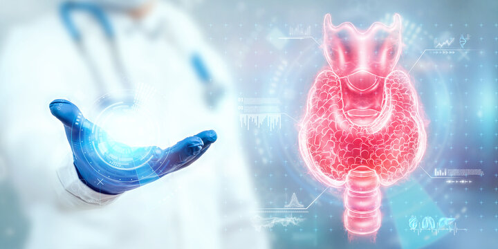 Thyroid gland, Doctor looks at a hologram or ultrasound of the patient's thyroid gland. Ultrasound diagnostics, thyroid diseases, medical indicators.