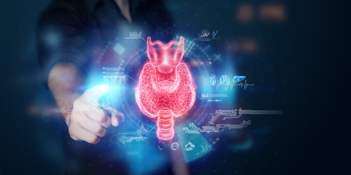 Thyroid gland, Doctor looks at a hologram or ultrasound of the patient's thyroid gland. Ultrasound diagnostics, thyroid diseases, medical indicators.