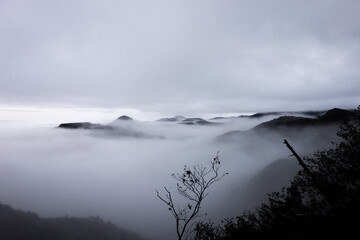 水墨画のような雲海