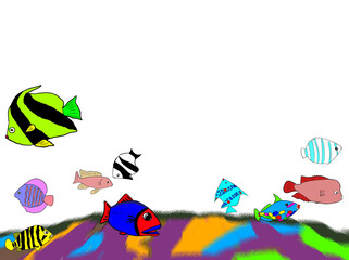 カラフルなお魚たち