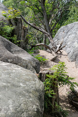 waterfall in the forest