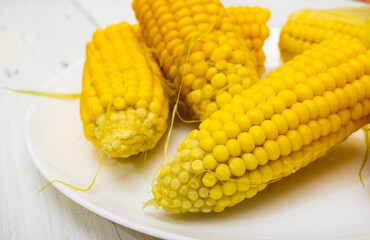 boiled corn on a plate on a white table