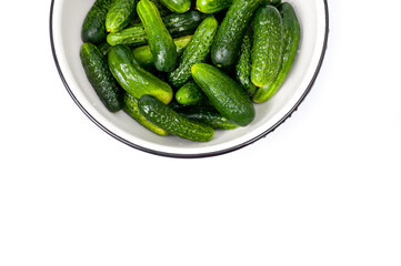 Fresh juicy clean cucumbers lying tightly next to each other. Preparing for conservation and salting.