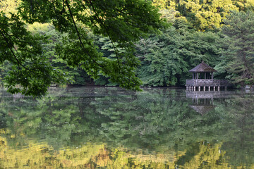 水面に映る森とあずまや　beaitiful lake with a gazebo in the forest reflected on the surface of the water