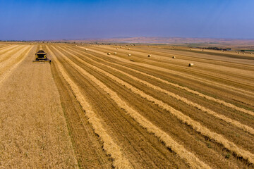 Aerial view of modern combine harvester collecting ripe wheat.