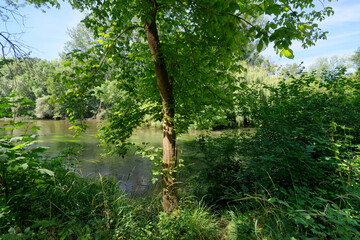 Loing river in the plain of Sorques. Ile-de-France region