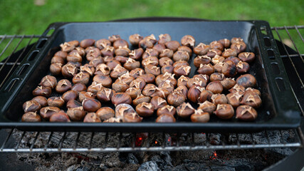 Roasting chestnuts on a grill