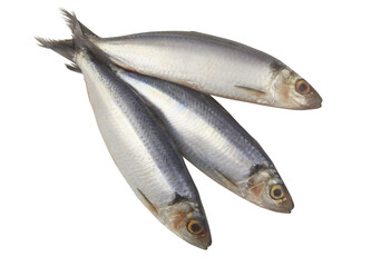 Three fresh herring fishes isolated on white background	