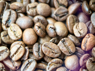 Coffee bean background close-up. Coffee beans in macro. Arabica coffee beans