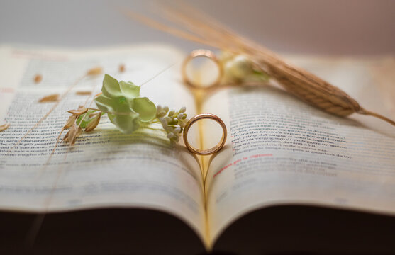 Wedding composition with wedding rings