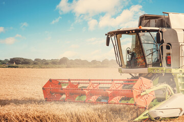 Wheat harvesting in the summer season by a modern combine harvester with a dramatic sky and rainbow...