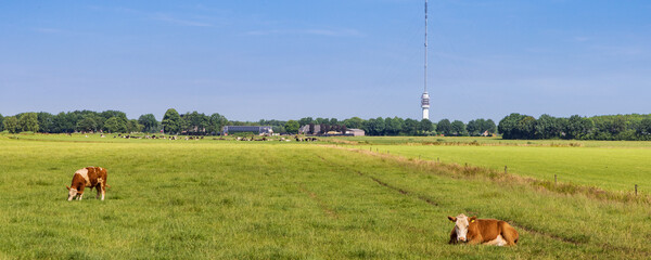 Landscape with transmission tower Smilde The Netherlands