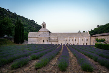 Abbey of Senanque and blooming rows of lavender flowers at sunrise. Gordes, Luberon, Vaucluse, Provence, France, Europe.