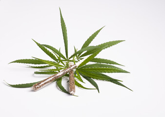 Hemp roll-up marijuana,Clear Paper Cellulose Paper ,and ashtray with cannabis leaf.