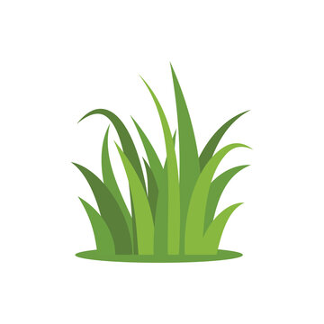 Green grass vector icon. Cartoon illustration of grass icon for web
