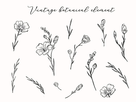 Hand Drawn Vintage Sketch Floral Branch. Wild Flowers Bouquet for wedding invitation, greeting, birthday card, anniversary, fabric, textile, print, poster. Vector