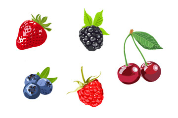 Set of five summer fruits: Strawberry, Blackberry, Cherry, Blueberry, and Raspberry. The modern vector art is fresh, delicious and handpainted for individual and unique projects.