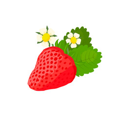 Cute ripe strawberry with leaves and flowers, sweet food vector illustration. Red juicy summer berry, delicious tasty organic strawberry, gourmet natural dessert for children isolated on white