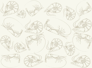 Big shrimp. Vector sketch drawing