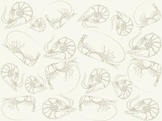Fototapeta premium Big shrimp. Vector sketch drawing