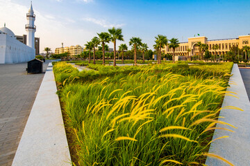 Jeddah City Scape and Land marks