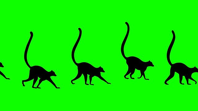 Walking lemurs, animation on the green background (seamless loop)