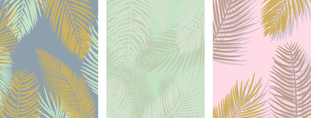 Fototapeta premium summer exotic backgrounds with palm branches