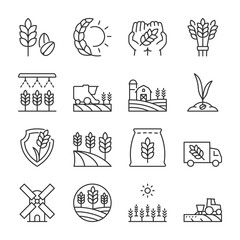 Growing wheat icons set. Cultivation of cereal plants. Agricultural fields. Agriculture. Agrarian business, linear icon collection. Line with editable stroke © Matsabe