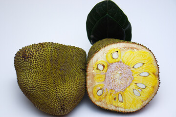 jackfruit with seed and leaf for eat