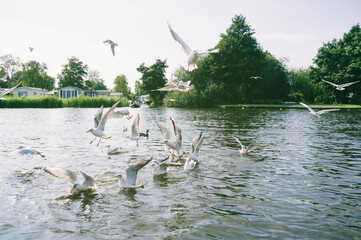 Giethoorn village, the most beautiful and fairytale village in the Netherlands