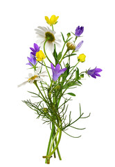 Wild meadow flowers in a summer bouquet isolated on white