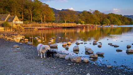 Lake District, Cumbria