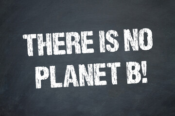 There is no Planet B! - obrazy, fototapety, plakaty
