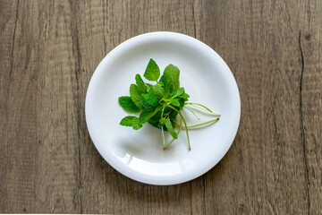 ハーブのミント © 忠則 森口