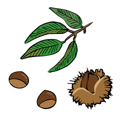 いがぐりと葉＿栗のシンプルイラストバラ