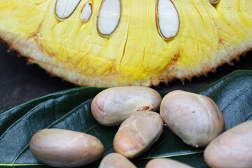 jackfruit with seed and leaf for eat