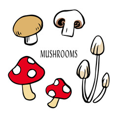 いろんな種類のきのこシンプルイラスト