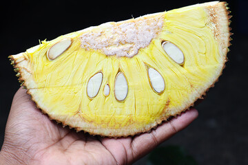 jackfruit with seed for eat