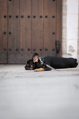 French bulldog puppy rests on the street during walk. Cute, little black and tan color dog lies in front of wooden house door. Adorable pet with owner. Blurred background with space for design 