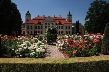 Muzeum Zamoyskich  w Kozłówce