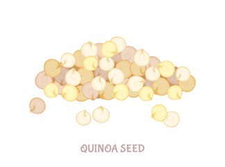 Quinoa seed pile. Vector simple illustration isolated on white. Icon in flat style.