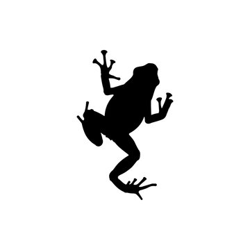 Poison Dart Frog Silhouette Vector. Best Poison Dart Frog Icon Illustration